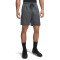 UA Tech Mesh Shorts-RED GRY-012