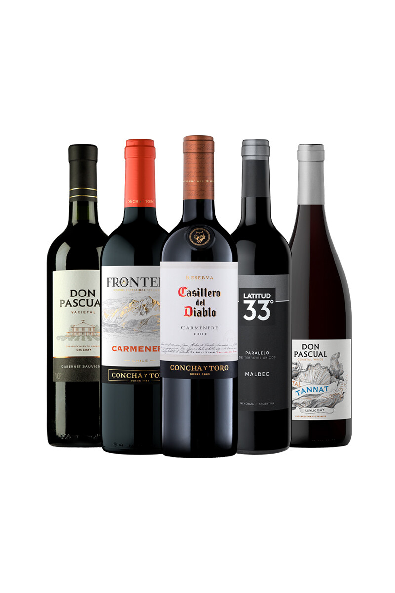 Pack Bacán Selección Clásicos del Cono Sur x5 vinos 