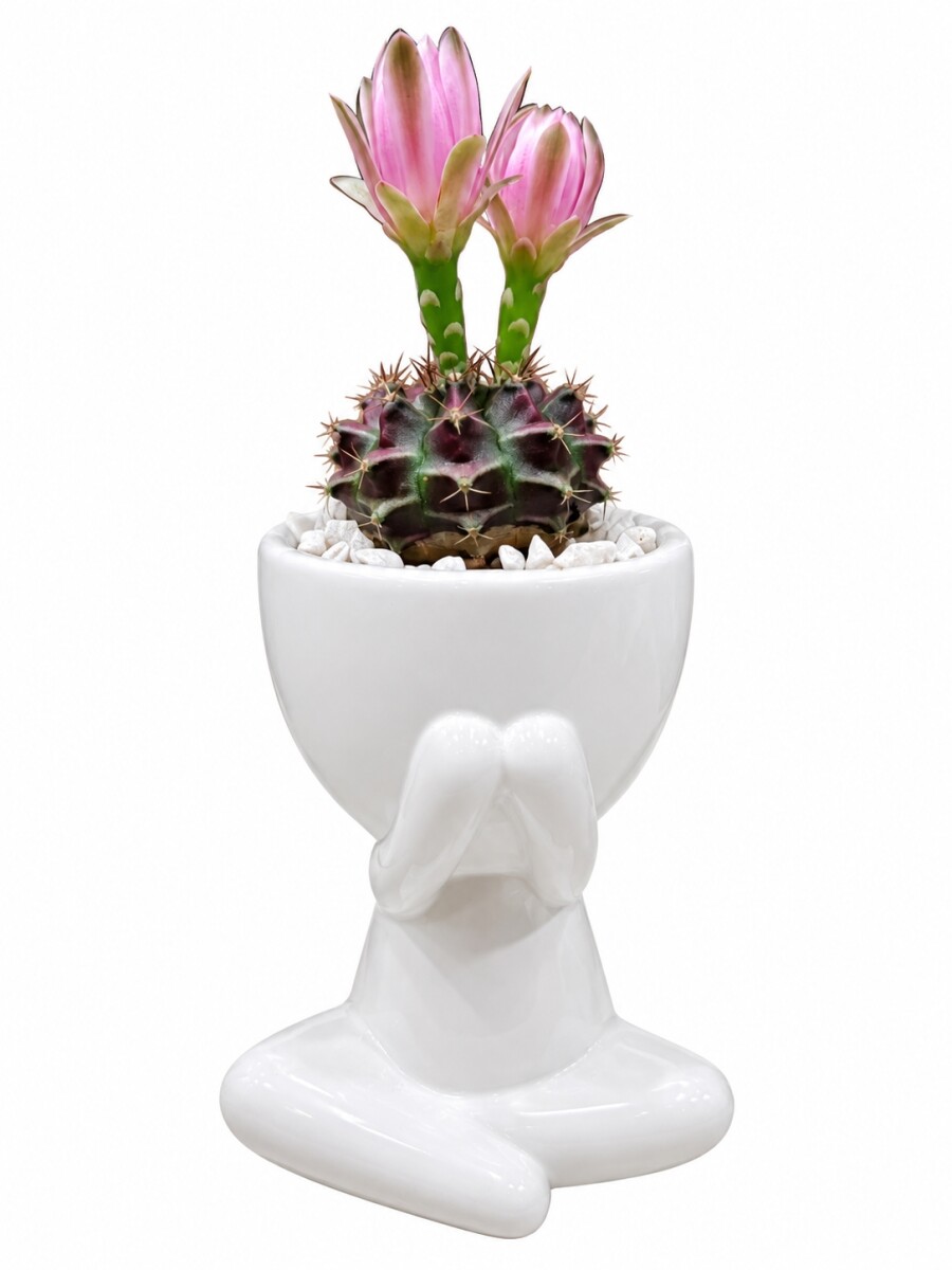 LITTLE PEOPLE CON CACTUS BLANCO