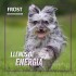 FROST PERROS CACHORROS RAZAS PEQUEÑAS 2.5 KG