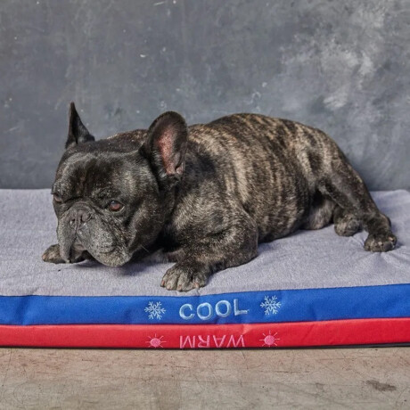 Cama P/Mascotas Frío/Calor Chica Reversible C/Cierre Lavable Azul-celeste