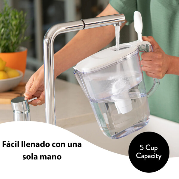 Jarra Daisy + 3 Filtros Universal Rj0619 JARRA DAISY + 3 FILTROS UNIV. RJ0619