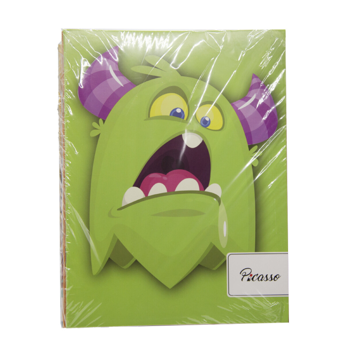 Cuaderno PICASSO 24hs FUNDA X40U 