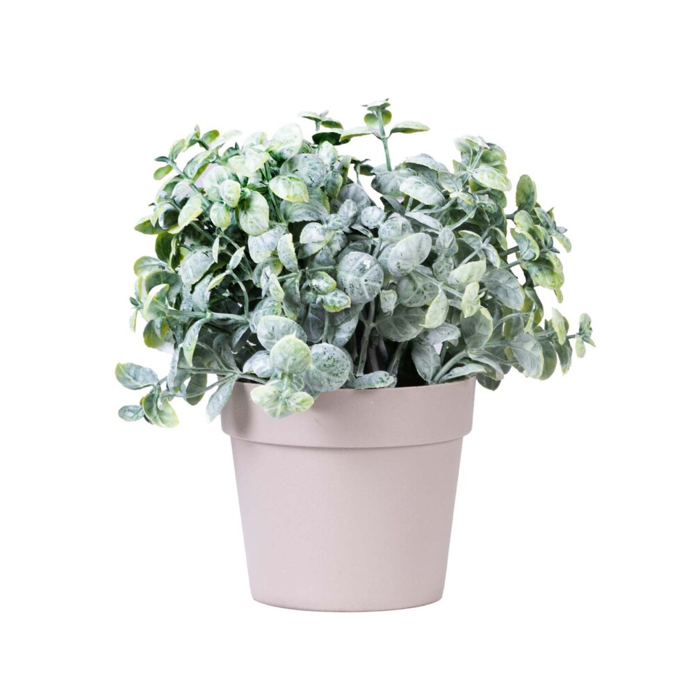 PLANTA RASS GRASS PLANTA-ARTIFICIAL GS-GS