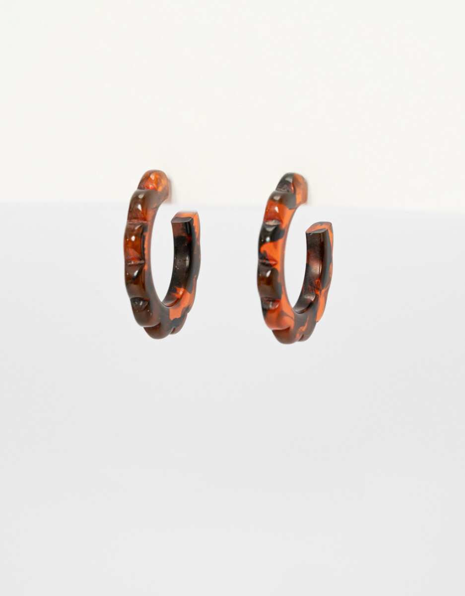 Aros Argollas Carey. 