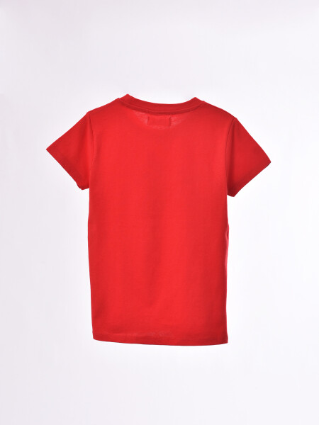 REMERA POLO VARIANTE 1