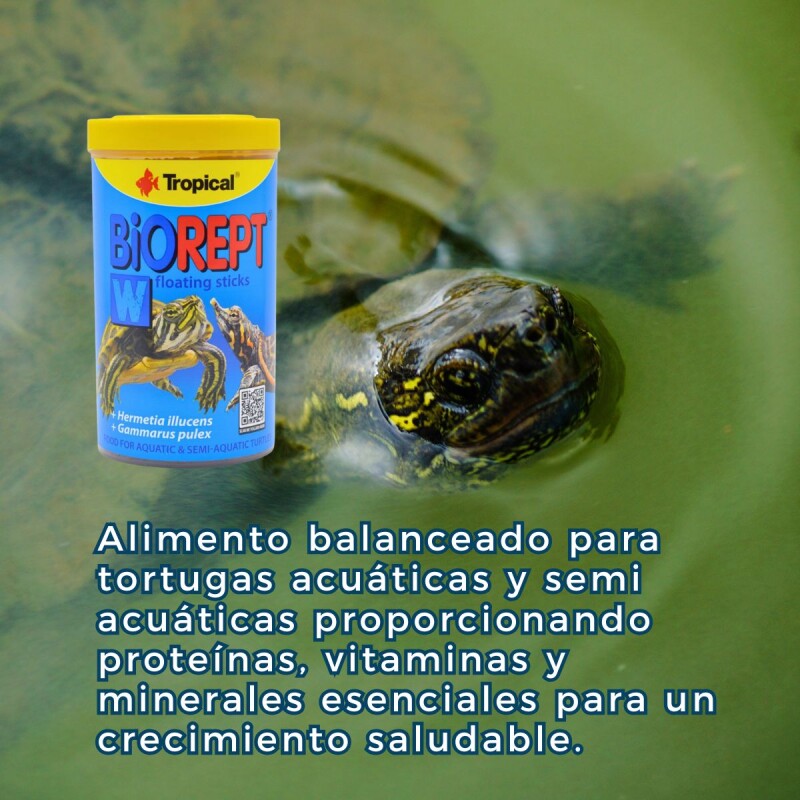 ALIMENTO PARA TORTUGAS ACUÁTICAS Y SEMIACUÁTICAS BIOREPT 30GR ALIMENTO PARA TORTUGAS ACUÁTICAS Y SEMIACUÁTICAS BIOREPT 30GR