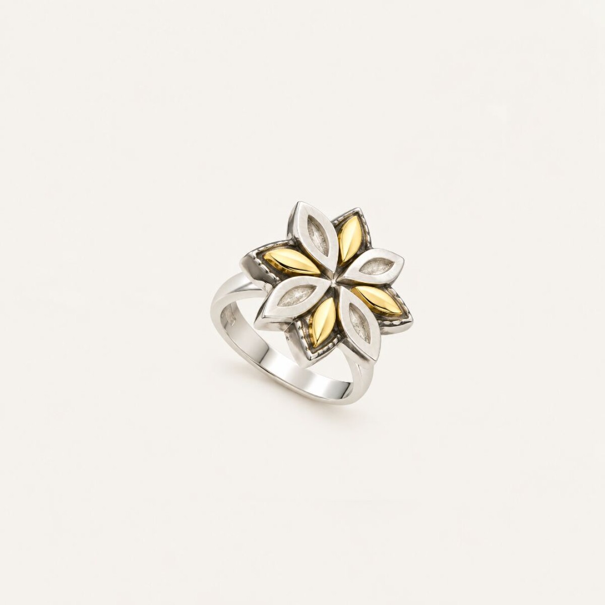 Anillo Lili - Plata y Oro 