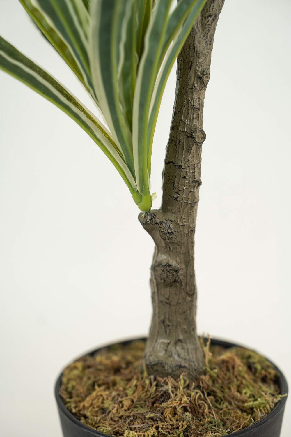 Planta White Grass 70cm Color Unico