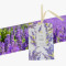 Aromatizador Placar Lavanda