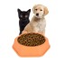 Plato Hexagonal Mascota Cachorros Comida Agua Plástico Atrix Variante Color Naranja