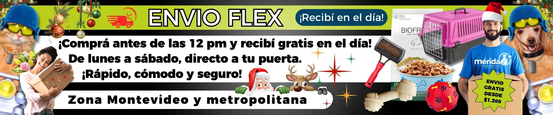 Envio flex
