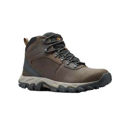 COLUMBIA NEWTON RIDEGE PLUS II Brown