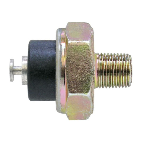 BULBO DE ACEITE Bulbo De Aceite