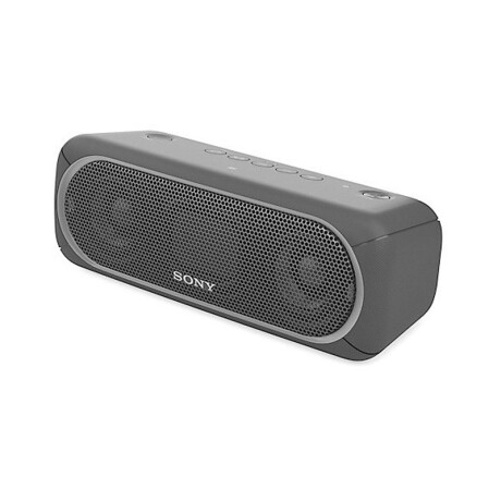 Parlante Sony Bluetooth SRS-XG300 - Gris — MultiAhorro Hogar