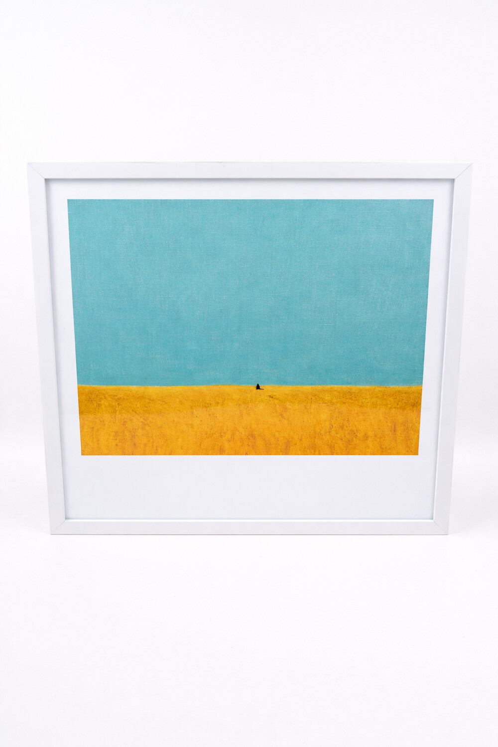 Cuadro Cova Estampado 2