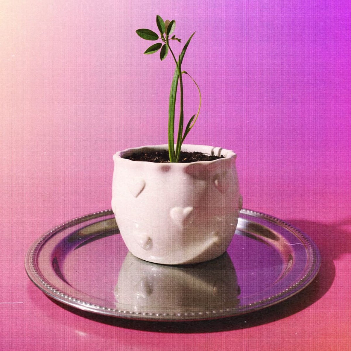 Maceta de cerámica Cupido 