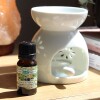 Aceite 10ml hornito Jazmín