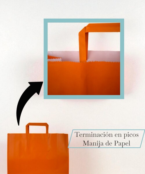 Bolsa lisa acuario 30x12x32 cm NARANJA