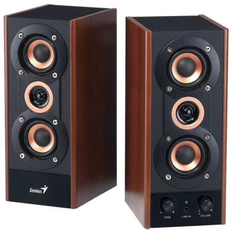 Parlantes Genius Madera 20W Alta Fidelidad 001
