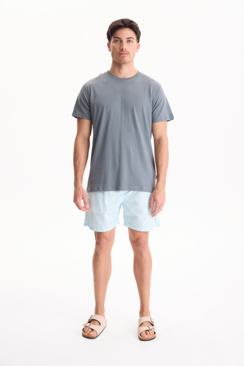 Remera Palmira Gris