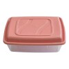 Tupper Rectangular De Plástico - Ra902 - Rainha Tupper Rectangular De Plástico - Ra902 - Rainha