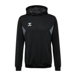 BUZO AUTHENTIC PL HOODIE UNISEX NEGRO