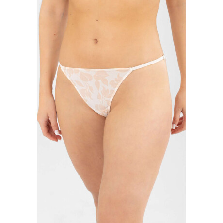 Colaless tiritas verbena Beige