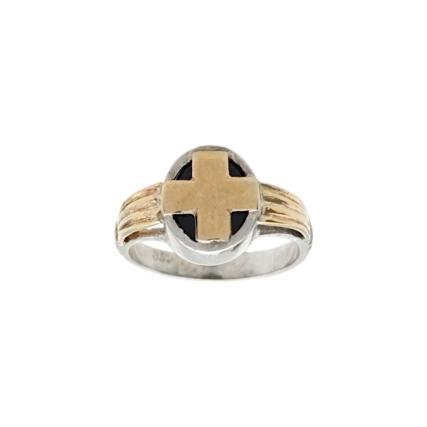 Anillo Profesión Médico-Plata y Oro-Piedra Ónix-AP5011 sinpiedra