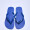 Havaianas Blue