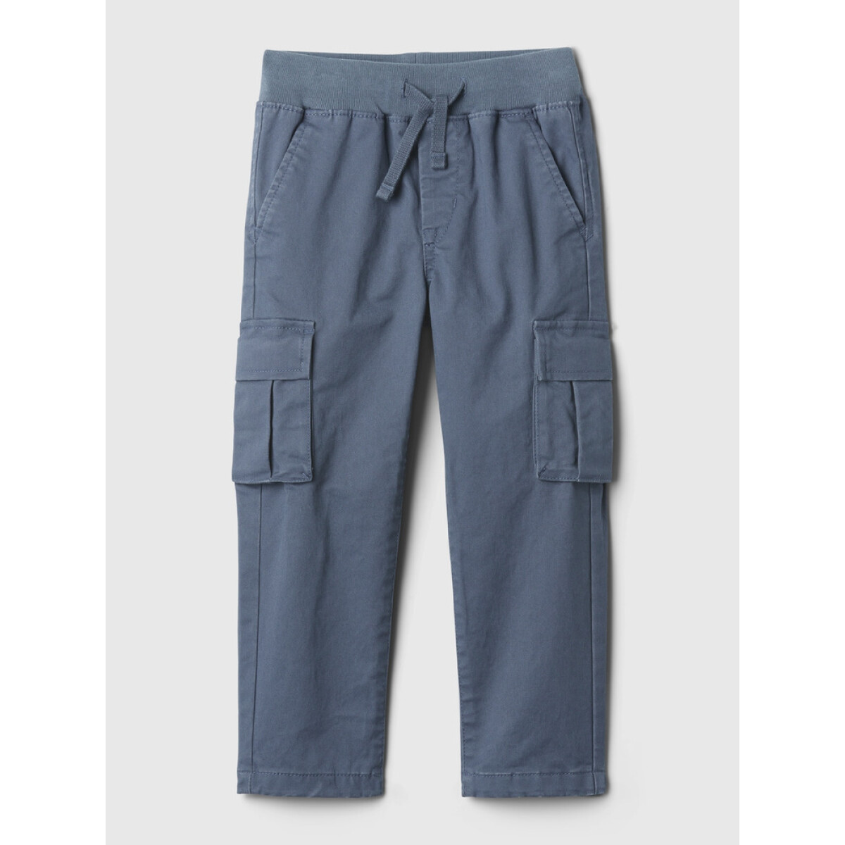 RW CARGO CHINO - FROZEN LAKE 