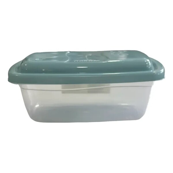 Tupper Rectangular Pequeño De Plástico - Ra916 - Rainha Tupper Rectangular Pequeño De Plástico - Ra916 - Rainha