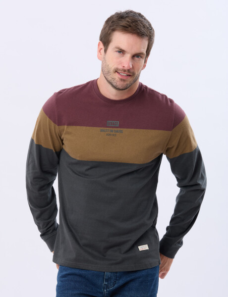 REMERA RAYADA CON ESTAMPA Gris