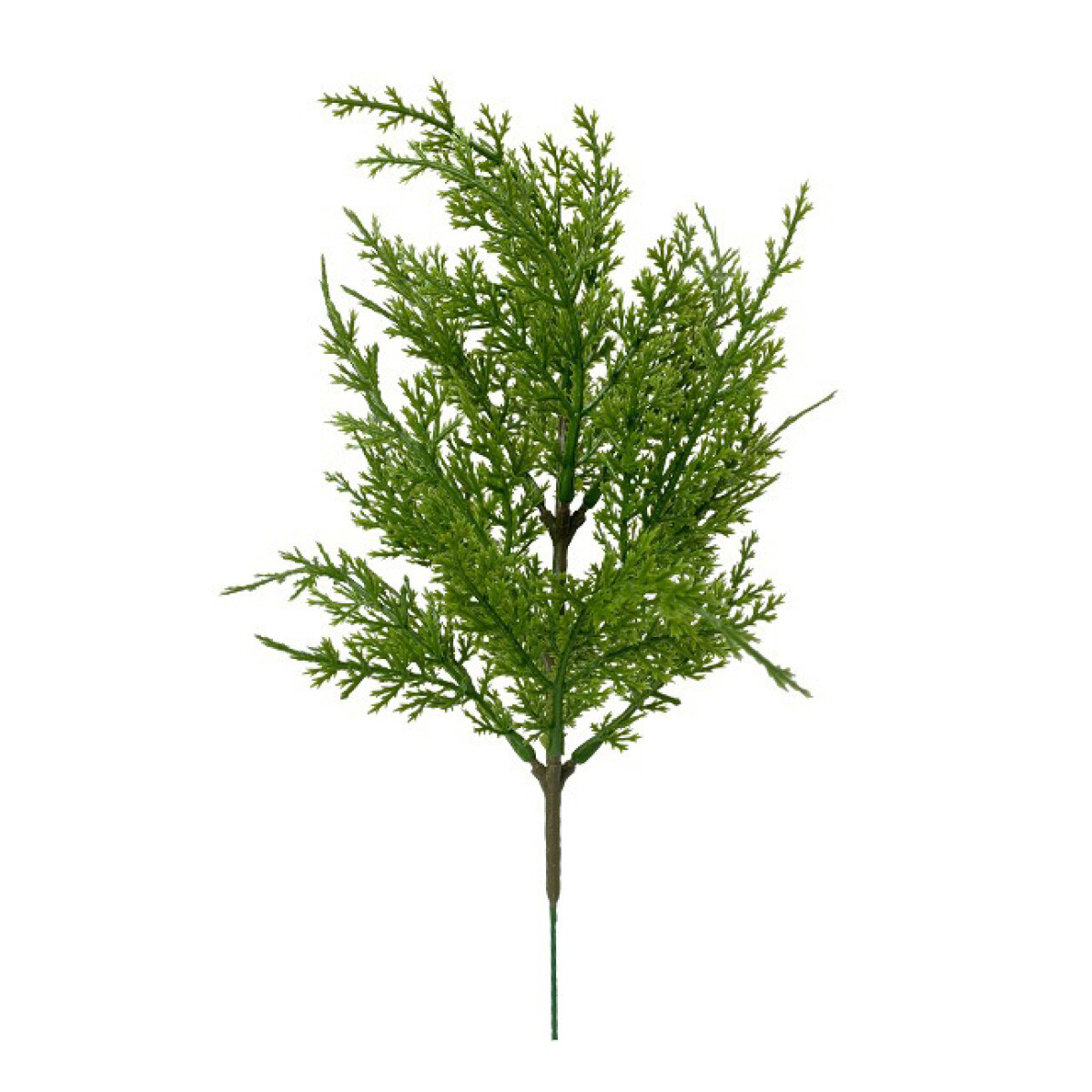Rama De Pino Verde Frondoso 