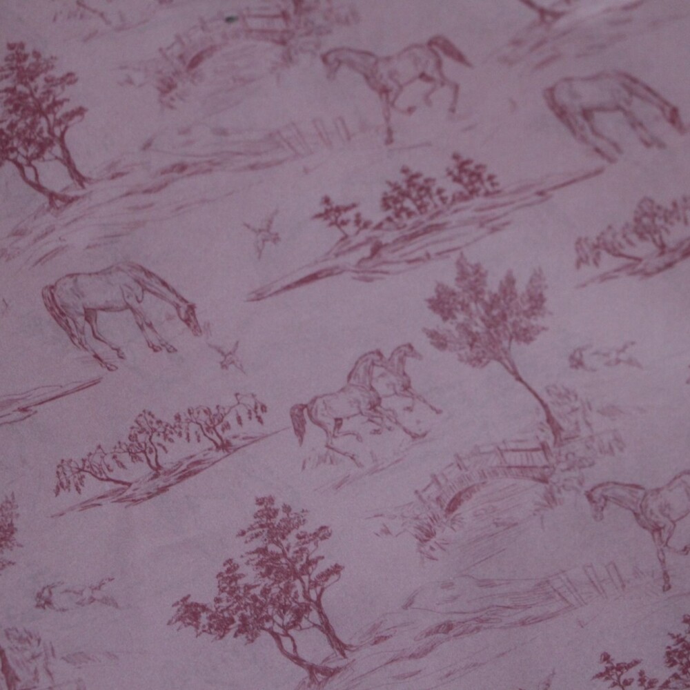 PAPEL FANTASIA ANILOX 70X100 CABALLOS ROSAS