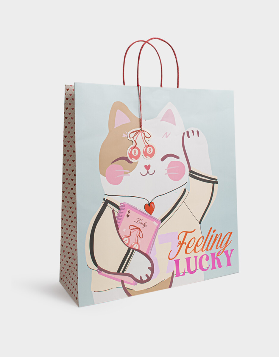 Bolsa De Regalo Estampada 