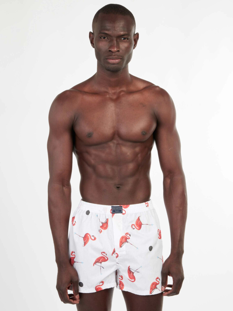 Bóxer Kevingston - DU9 