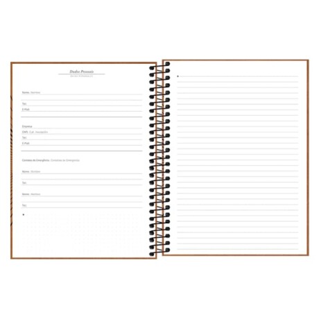 Agenda Tilibra 2026 Pratika Semanal Azul