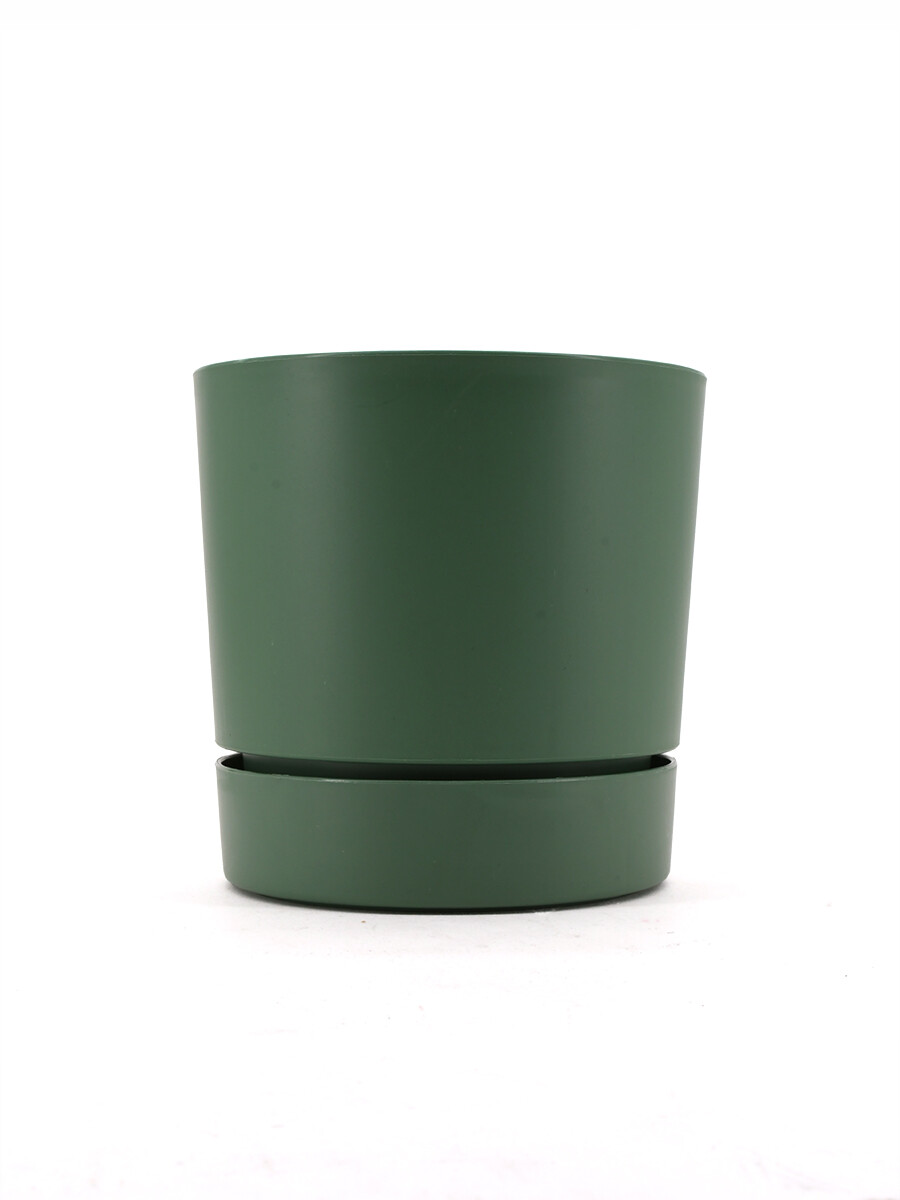 MACETA BEGONIA - VERDE 