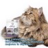 SNACK HANA CONTROL URINARIO PARA GATOS 60 GRAMOS SNACK HANA CONTROL URINARIO PARA GATOS 60 GRAMOS