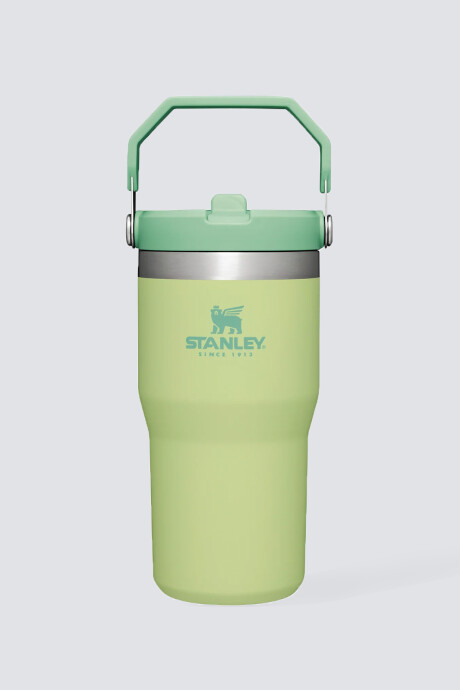 Stanley Flip Straw Tumbler 20 OZ Verde Claro