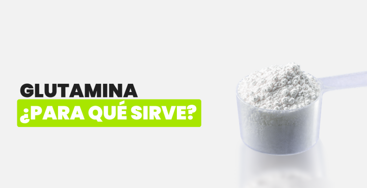 Glutamina ¿para qué sirve?