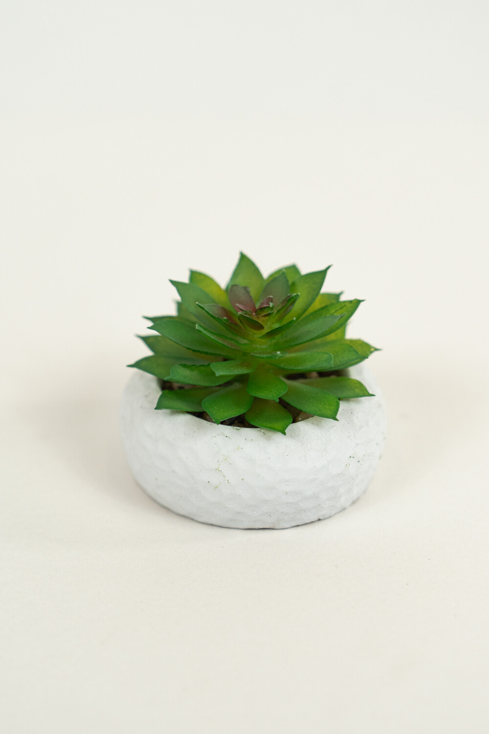 Planta Suculenta 690 Mini, Mix Color Unico