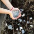 DIFUSOR BASIC COMPOST SANDÍA PEPINO