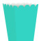 Caja para Pop x10 Unidades Verde Menta