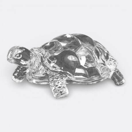 Tortuga Translúcida Decorativa Grande Traslúcida