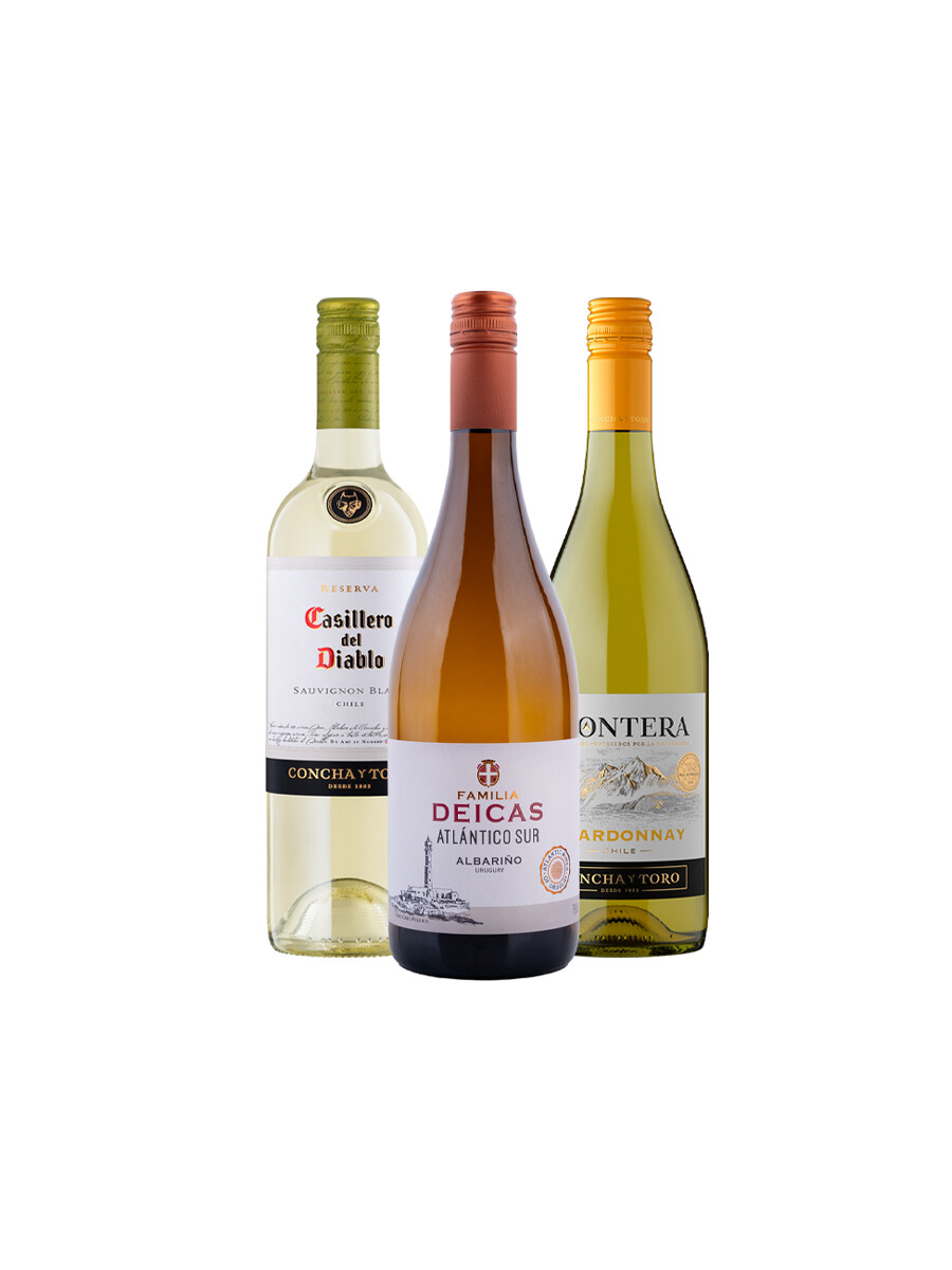 Pack Bacán Selección Entre Estilos x3 vinos Notas Frescas Pack Bacán Selección Entre Estilos x3 vinos Notas Frescas