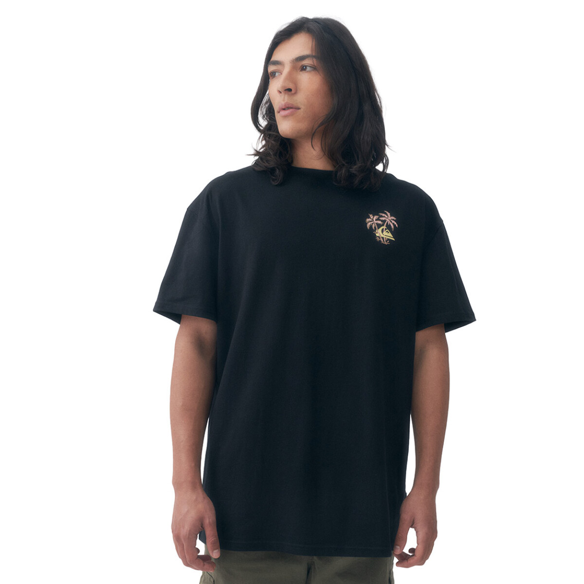Quicksilver Remera Evo Learning From Nature Hombre - Negro - Negro 