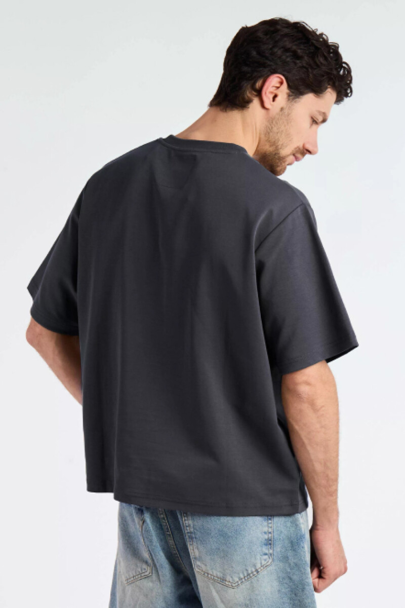 Camiseta Briatore Gris