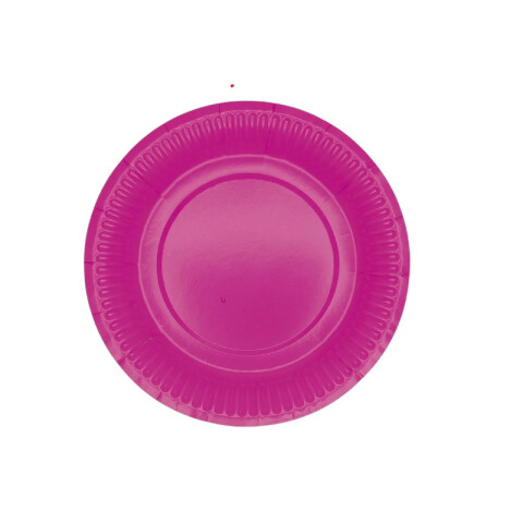 Plato Descartable Liso x10 Und Fucsia